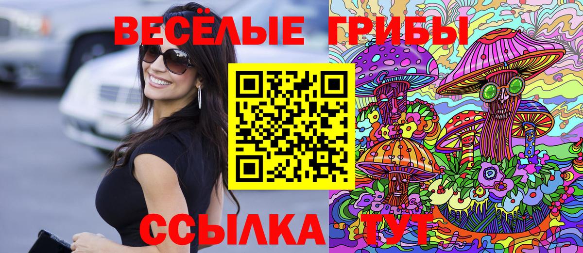 Галлюциногенные грибы мухоморы  Вход с VPN  Галлюциногенные грибы Psilocybe  наркотики  Анжеро-Судженск 