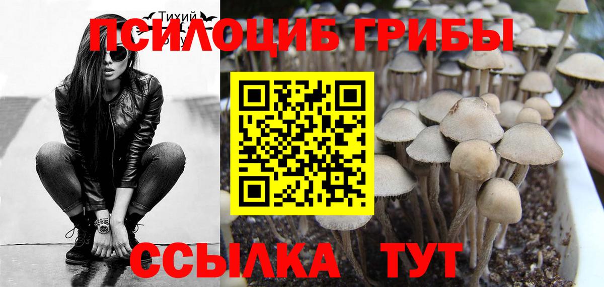 Галлюциногенные грибы мухоморы Анжеро-Судженск